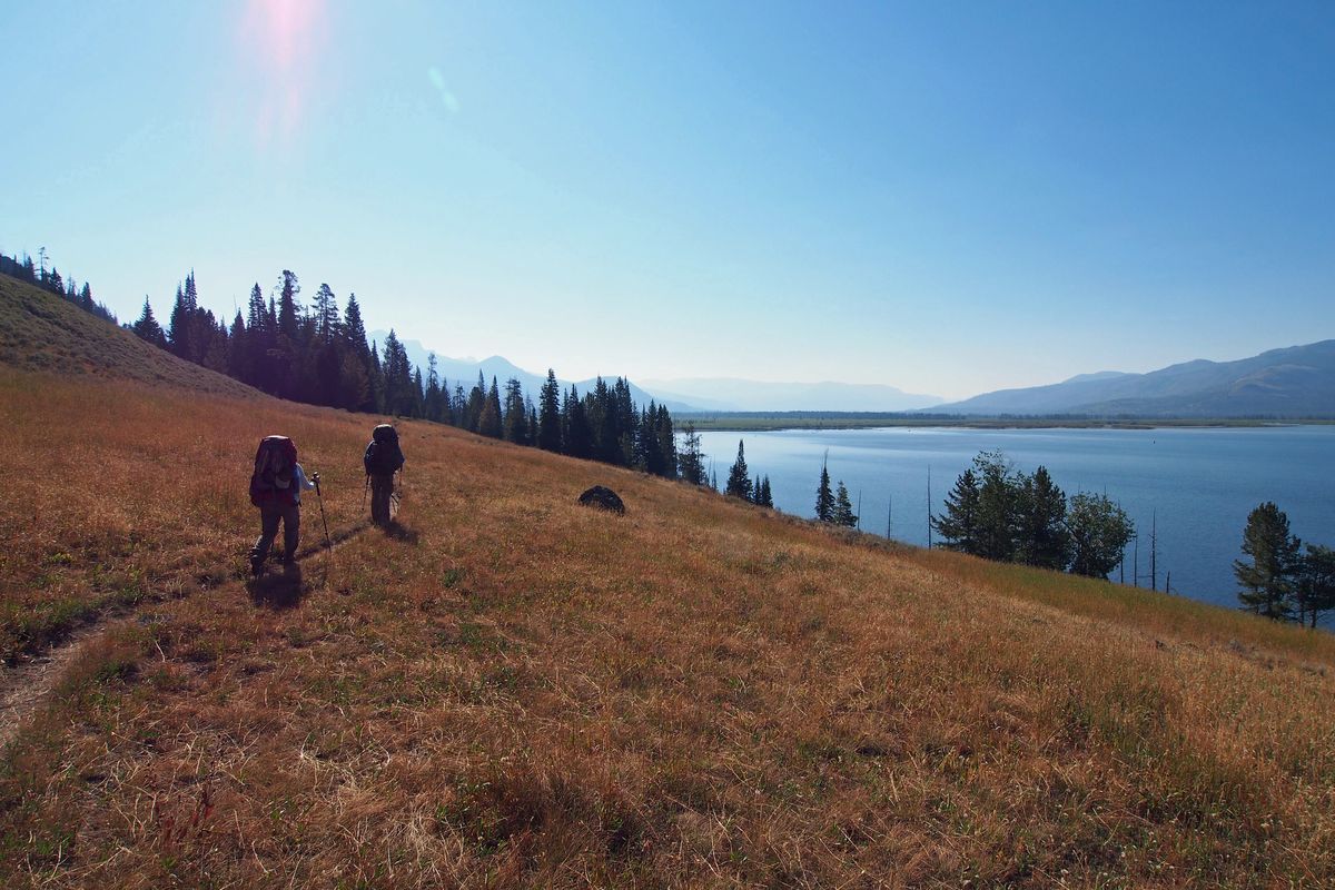 Thorofare trail clearance