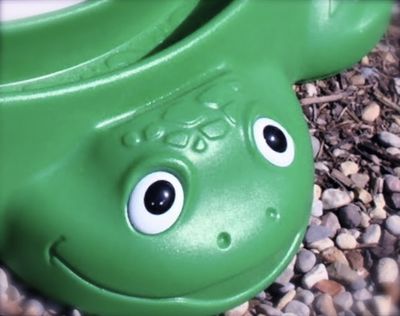 Expensive plastic outdoor toys are easy to recycle
 (Photo by R. B. Millsap / Special to Down to EarthNW)