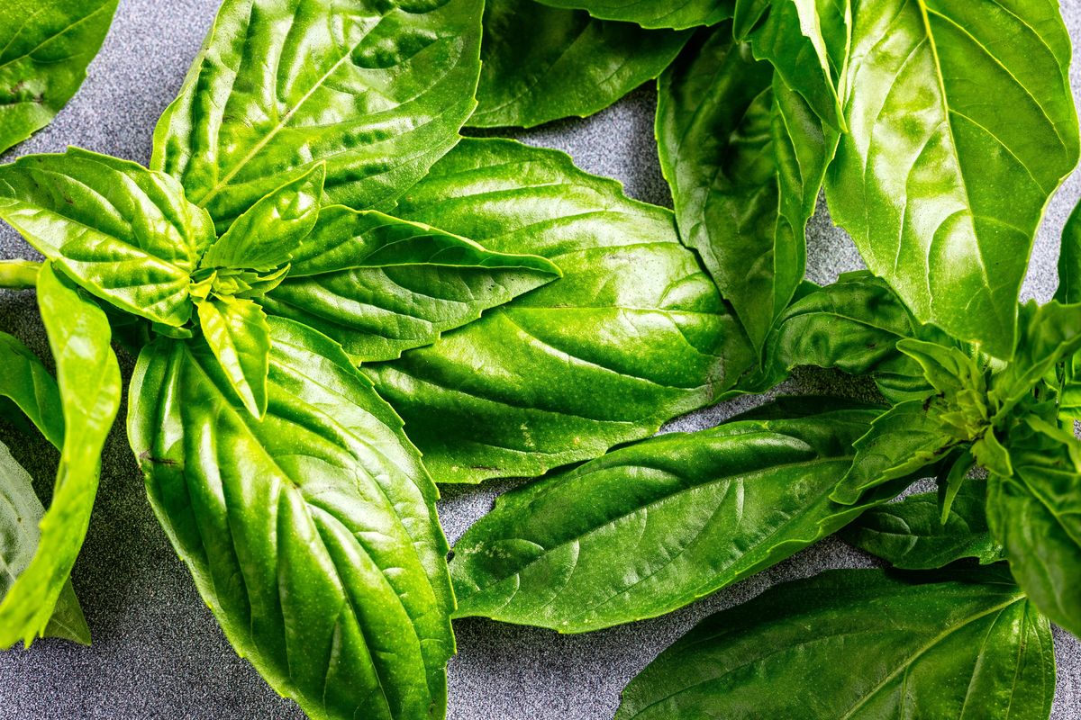 Basil is a versatile herb.  (Scott Suchman/For the Washington Post)