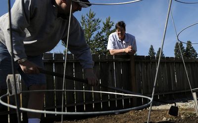Trinity Homes life skills coordinator Elsie Randall watches as resident Thomas Reed works in the garden at the home in Coeur d’Alene on Wednesday.  (Kathy Plonka / The Spokesman-Review)