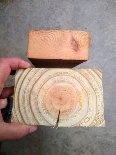 You’re looking at an old piece of lumber from the late 1800s, top, and a piece of modern lumber. Look at the difference in the size of the growth rings. (Tim Carter)