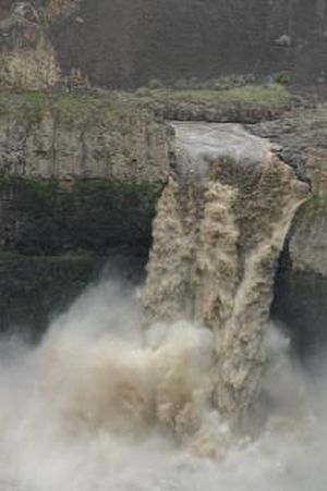 Palouse Falls raging with muddy spring runoff in the last week of March 2012. (Bart Mihailovich)