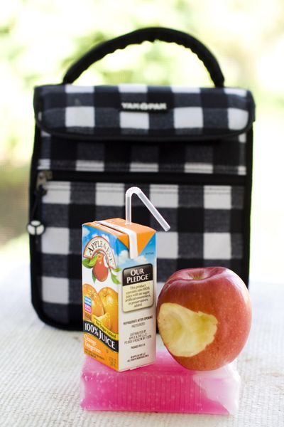 This photo shows an insulated lunch bag, juice box, apple and gel pack. One way to keep your child’s lunch cool is with an insulated bag and a frozen gel pack. (Associated Press)
