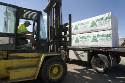 
Mike Young, with Inland Empire Distribution Systems, transfers a load of lumber from a truck to a waiting rail car in Spokane Valley. IEDS says 100 percent of its trucks use Interstate 90 at some point to transport goods. 
 (Colin Mulvany / The Spokesman-Review)