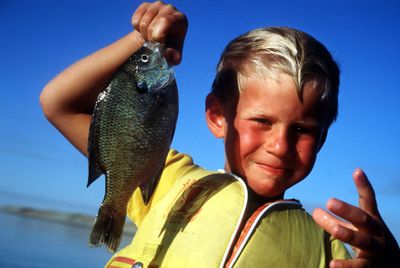 Panfish are sure to put smiles on faces of pint-size anglers.   (Rich Landers / The Spokesman-Review)