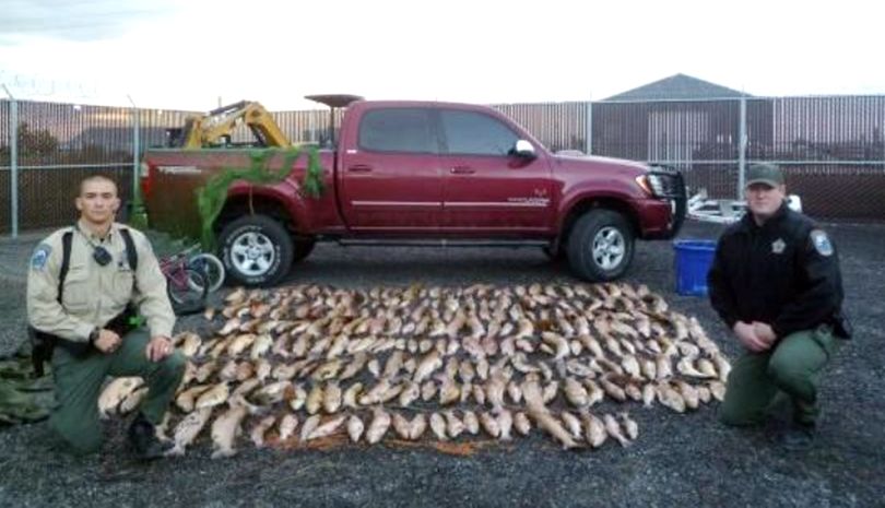 Washington Fish and Wildlife Officers Will Smith and Chris Busching pose in 2013 with 242 Lahontan cutthroat trout, a gillnet and a 2005 Toyota pickup they seized from four men later convicted of illegal fish netting at Lake Lenore.  (Courtesy And / The Spokesman-Review)