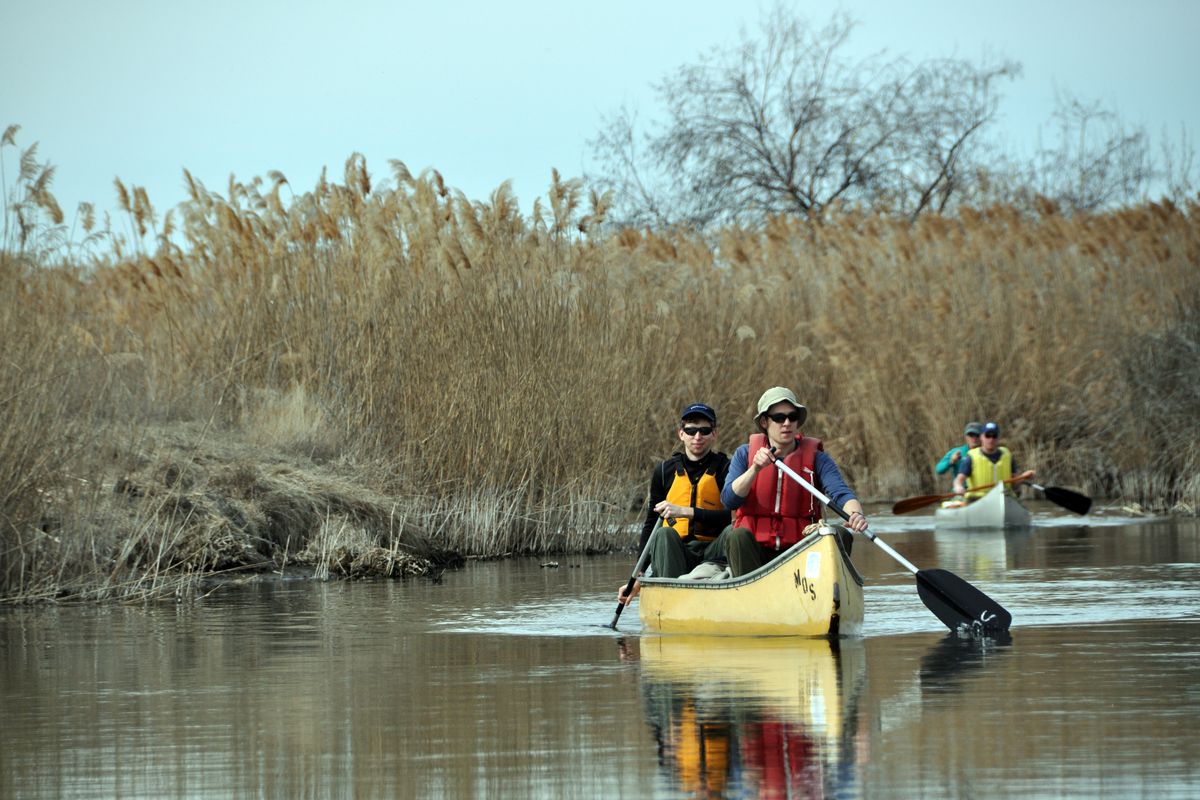 Drew Schlieder, left, and Miles Babb, paddle their canoe ahead of companions in a wide portion of the Winchester Wasteway near the beginning of the popular put-in site off Dodson Road, a 13-mile drive west of Moses Lake. (Rich Landers)