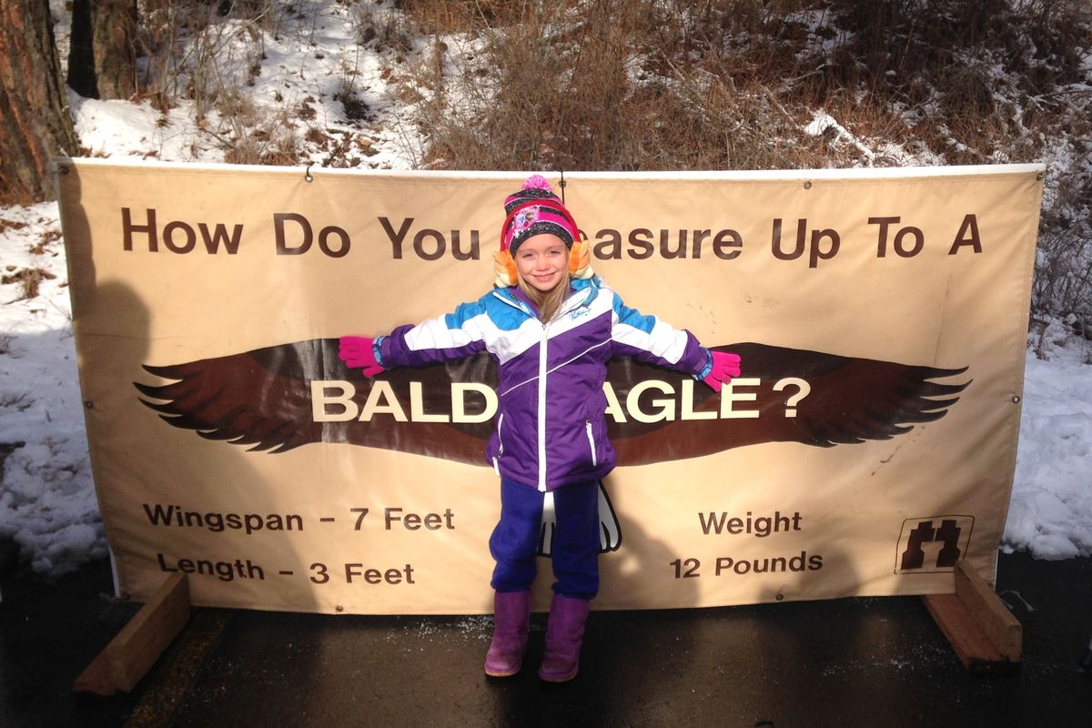 Eagle Watch Week features displays at the Mineral Ridge Boat Ramp on Lake Coeur d