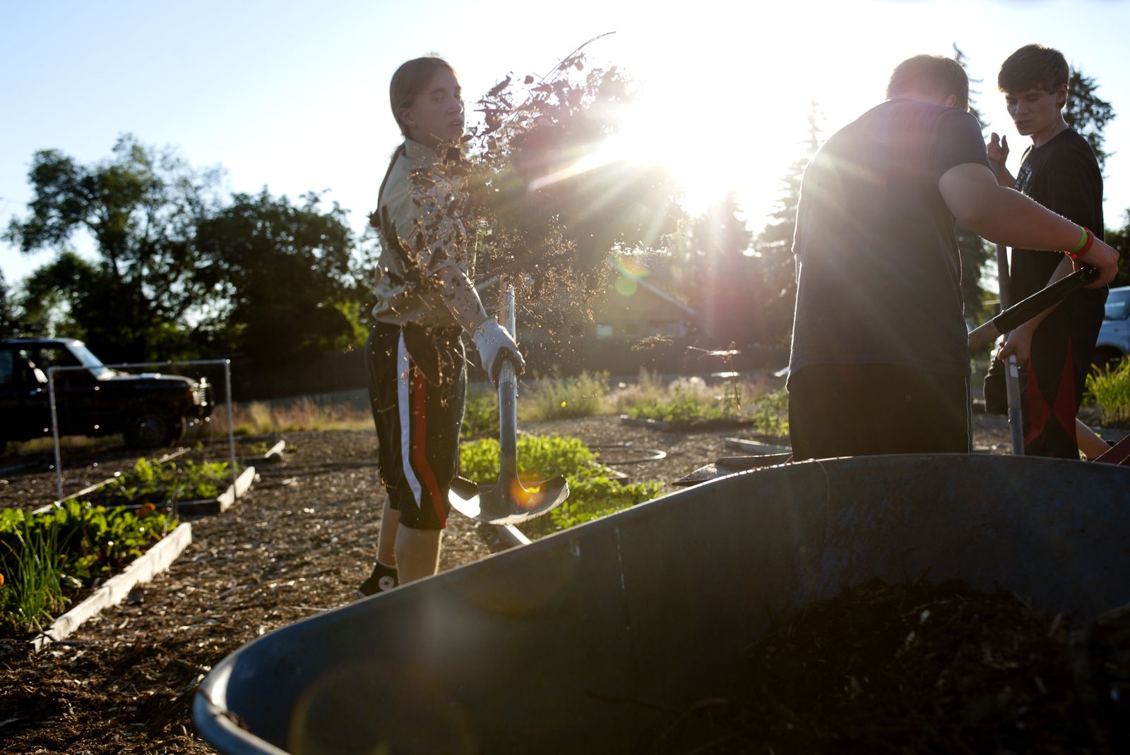 Pumpkin Patch Community Garden - June 27, 2012 | The Spokesman-Review