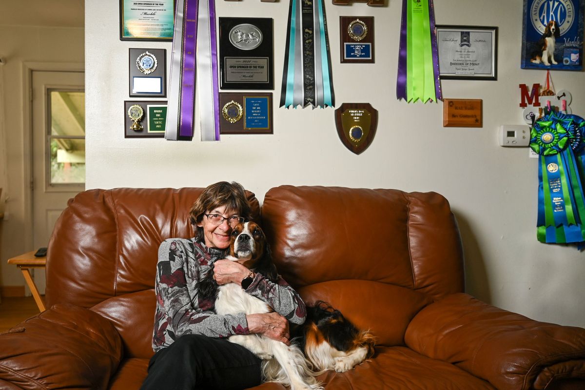 Marble, a 7-year-old female English Springer Spaniel from Spokane, and her owner Bev Gostovich, earned a spot in Westminster Kennel Club Dog Show’s 9th Annual Masters Obedience Championship held Saturday May 11.  (DAN PELLE/THE SPOKESMAN-REVIEW)