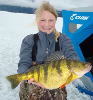 Tia Wiese, 12, of Eagle, Idaho, holds the yellow perch weighing 2 pounds 11.68 ounces she caught on March 1, 2014, at Lake Cascade. The fish is the state record for perch and later was named the world record for perch caught ice fishing with a tip-up, a special category recognized by the Fresh Water Fishing Hall of Fame based in Wisconsin.  (c / Courtesy)