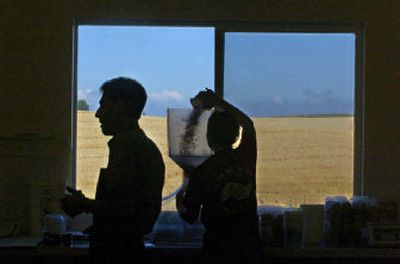 
Kelly Santee, left, and Cheryl Williams are framed in the window of the Santee Granola production building outside Spangle. 
 (Christopher Anderson/ / The Spokesman-Review)