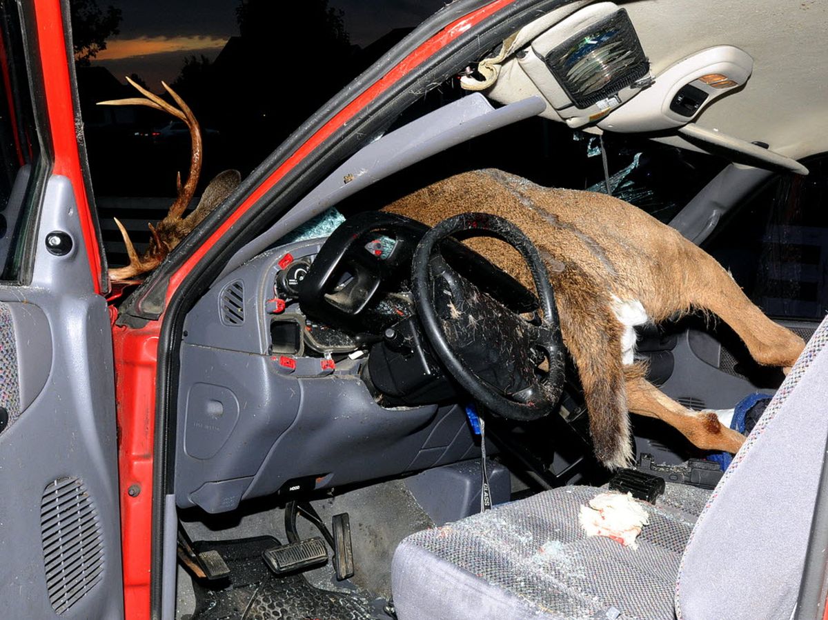 Be Careful Out There The SpokesmanReview