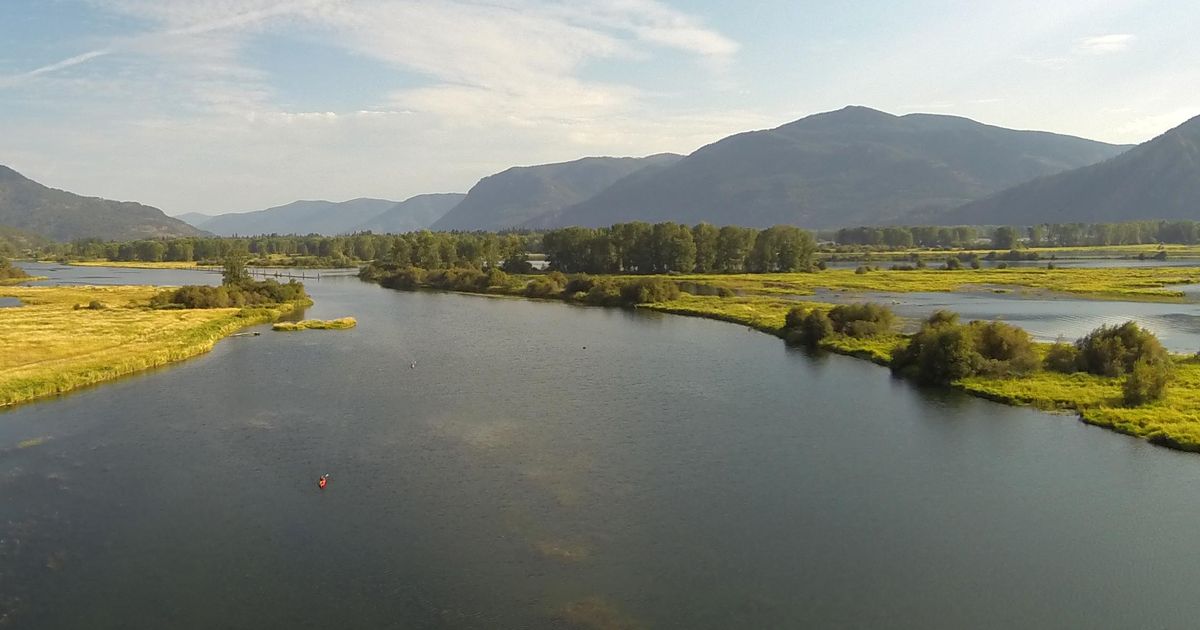 Effort to preserve the Clark Fork River Delta gets cash infusion from