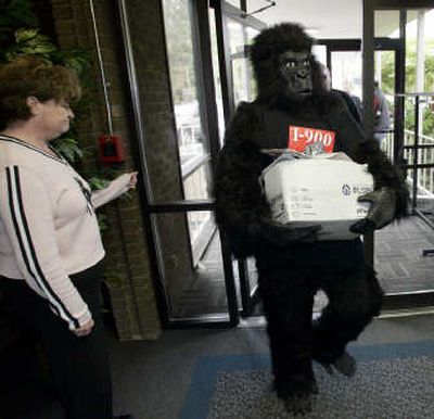 
Initiative activist Tim Eyman, wearing a gorilla costume, carries a box of signatures for his latest initiative, a performance audit plan he markets as the 