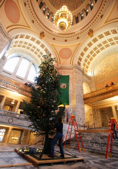 Stately elegance: With an installed height of about 25 feet, the Washington Capitol’s noble fir was provided by the Port Blakely Tree Farm. Offering a more subdued look this year, the tree will have a 5,000-LED-light display, along with traditional trimmings, for the Dec. 2 lighting ceremony at 6 p.m. in the Capitol Rotunda in Olympia. (Associated Press)