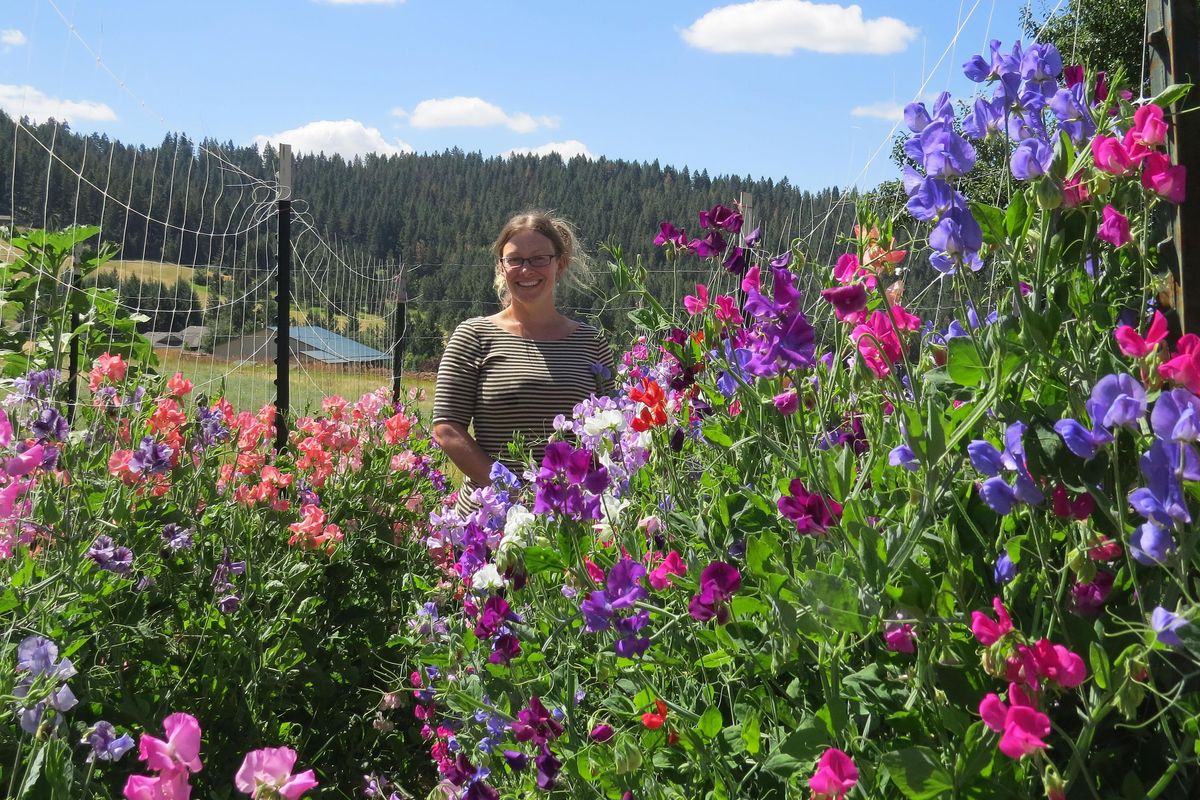 Beth Mort, founder of Zinnia Designs, helps clients design productive landscapes. (SUSAN MULVIHILL/SPECIAL TO THE SPOKESMAN-REVIEW)