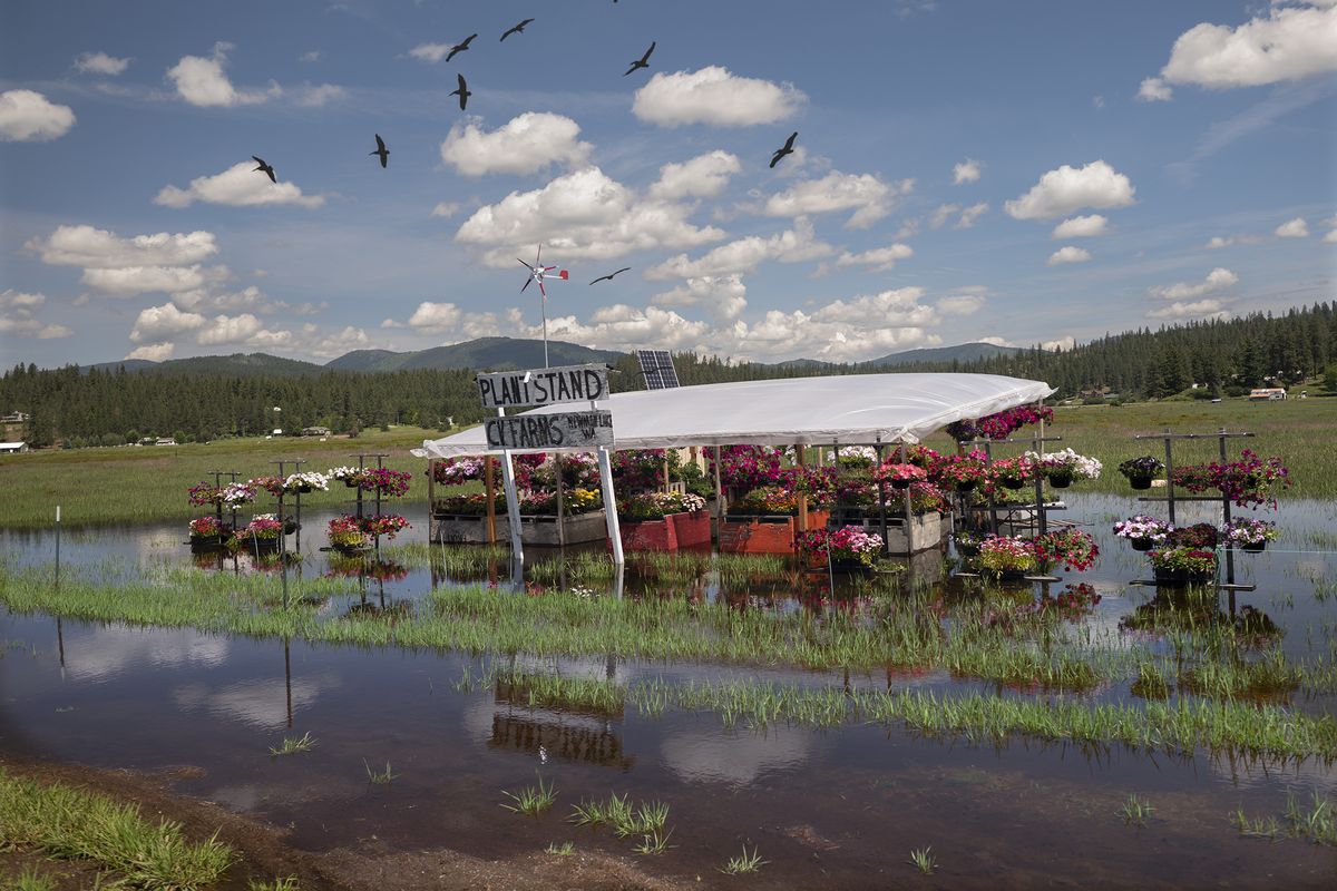 The CV Farms plant stand along Starr Road in Newman Lake was completely surrounded by water on Tuesday. Rains have dampened business at area nurseries.  (Brian Plonka / brianp.onfabrik.com)