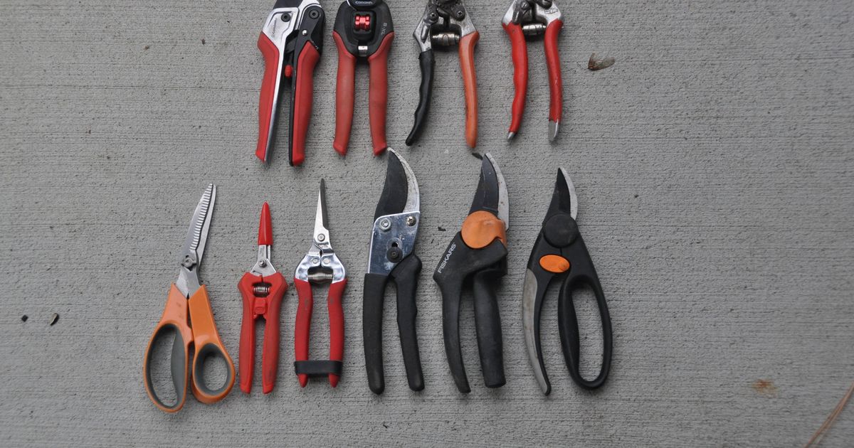 Gardening: Find the right pruner to fit your hand and gardening needs