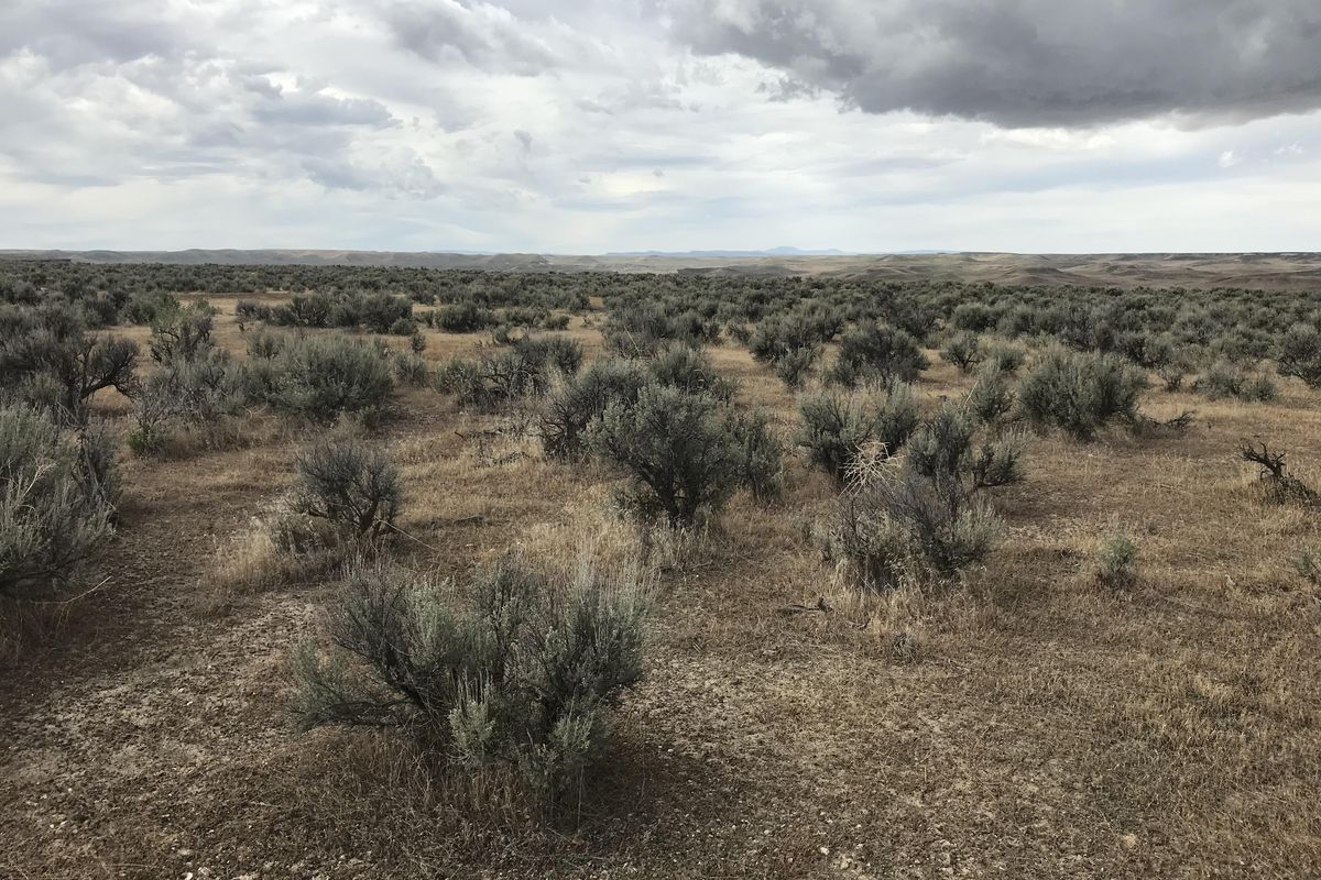 Sagebrush stretches across miles of flatland outside of Rome, Ore., making it difficult to navigate the unmarked Oregon Desert Trail. Hikers are encouraged to take a map, compass and GPS device. (Emily Gillespie / Emily Gillespie/For The Washington Post)