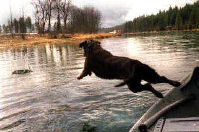
Weather patterns will determine whether waterfowl hunting will be productive for hunters and their dogs.
 (File/ / The Spokesman-Review)