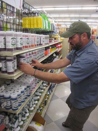 Robert Campbell, manager of Fisherman's Marine & Outdoor in Oregon City, arranges his display of salmon egg cures. Cure manufacturers will voluntarily limit their use of a chemical that can kill baby fish.
 (Bill Monroe)