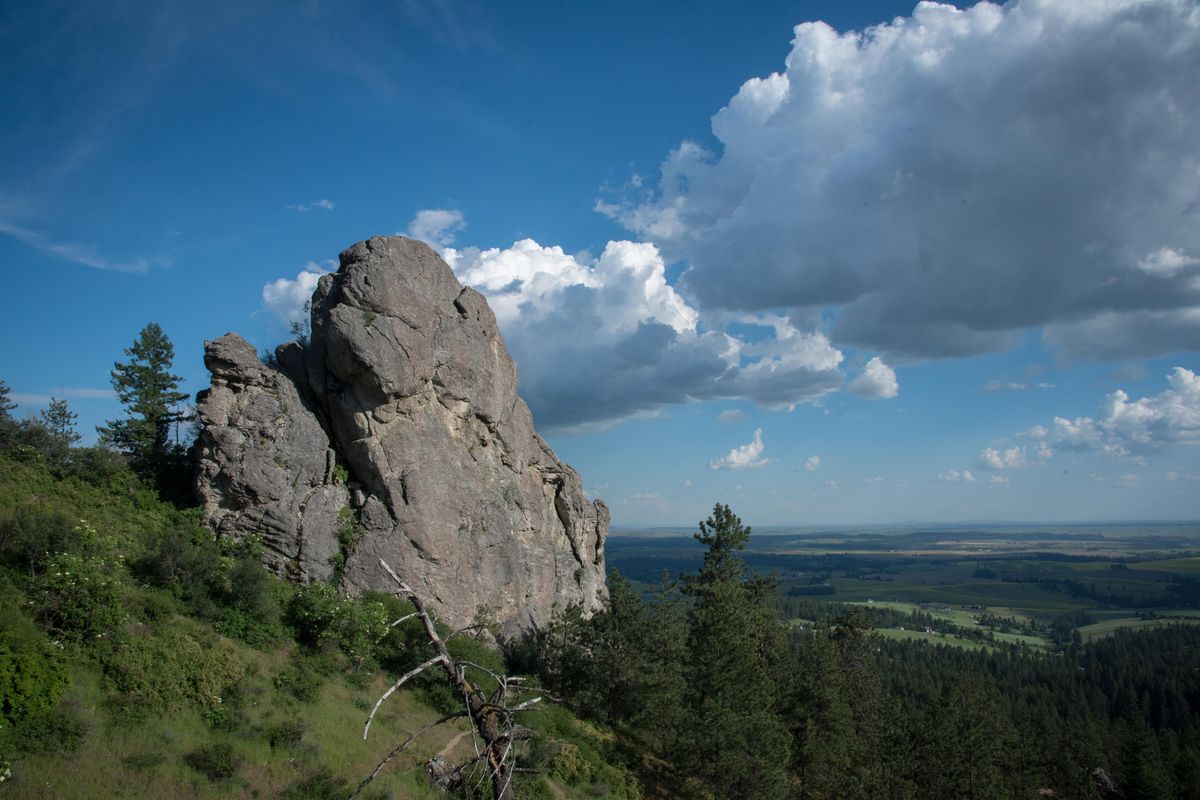 Big Rock as seen on Monday June 17, 2019. In December, the Dishman Hills Conservancy purchased 120-acres just south of Big Rock. The parcel was privately owned and could have been developed, drastically changing the ecology and mood of the Big Rock area. (Eli Francovich / The Spokesman-Review)
