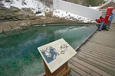 Visitors to Cave and Basin, the site of Banff's original hot spring, now a museum, look at endangered and protected snails that live in the pool.
(Photos by Yvette Cardozo / The Spokesman-Review)