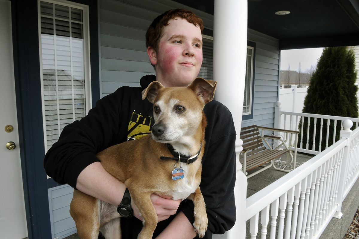 Horizon Middle School eighth-grader Jason Long had an unusual heart valve replacement surgery that dramatically reduces recuperation time. The surgery was in late February and he went home to his dog, Jasper, one day later. (Dan Pelle)