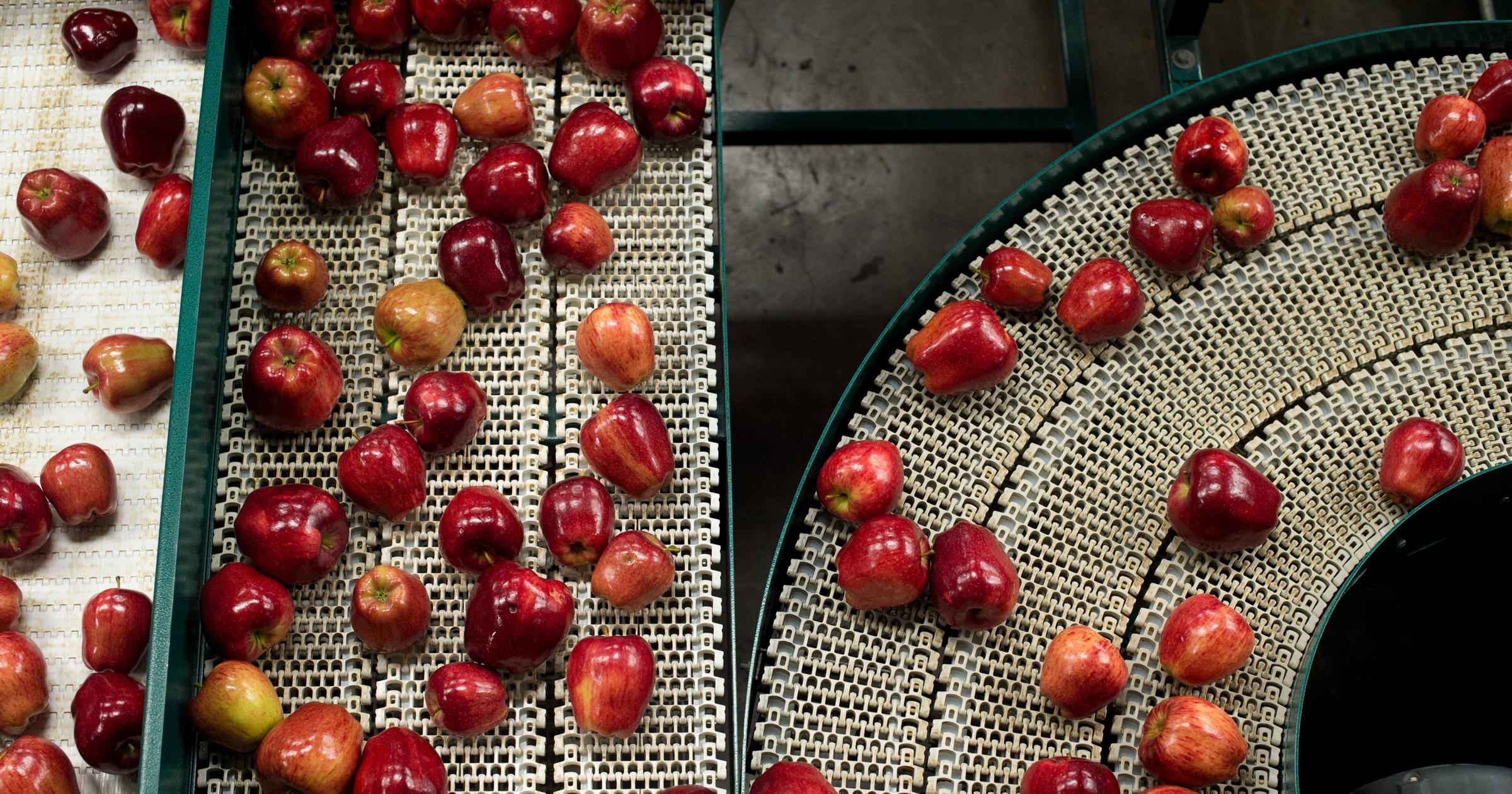 Corporate purchase of bankrupted apple company Gebbers Farms nearly complete