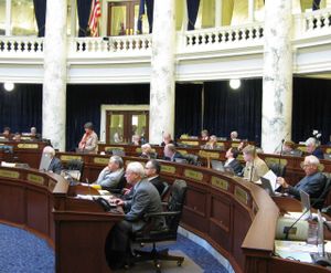 Rep. Shirley Ringo, D-Moscow, debates against the public school budget in the House on Thursday. The budget contains historic cuts in school funding. (Betsy Russell)