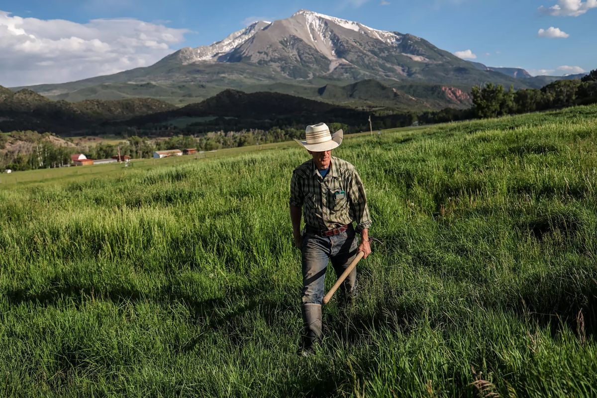 Rancher Bill Fales checks irrigation lines on one of his family’s pastures near Carbondale, Colo. Fales says he has been working to change his irrigation techniques to sustain the pastures when there is little water. (Robert Gauthier)