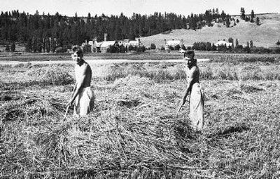 
Residents of the Hutton Settlement children's home in the Spokane Valley work in the field on a hot summer day in 1936. These were part of their chores, during the summer when school was not in sessionl. 
 (Photo archive/ / The Spokesman-Review)