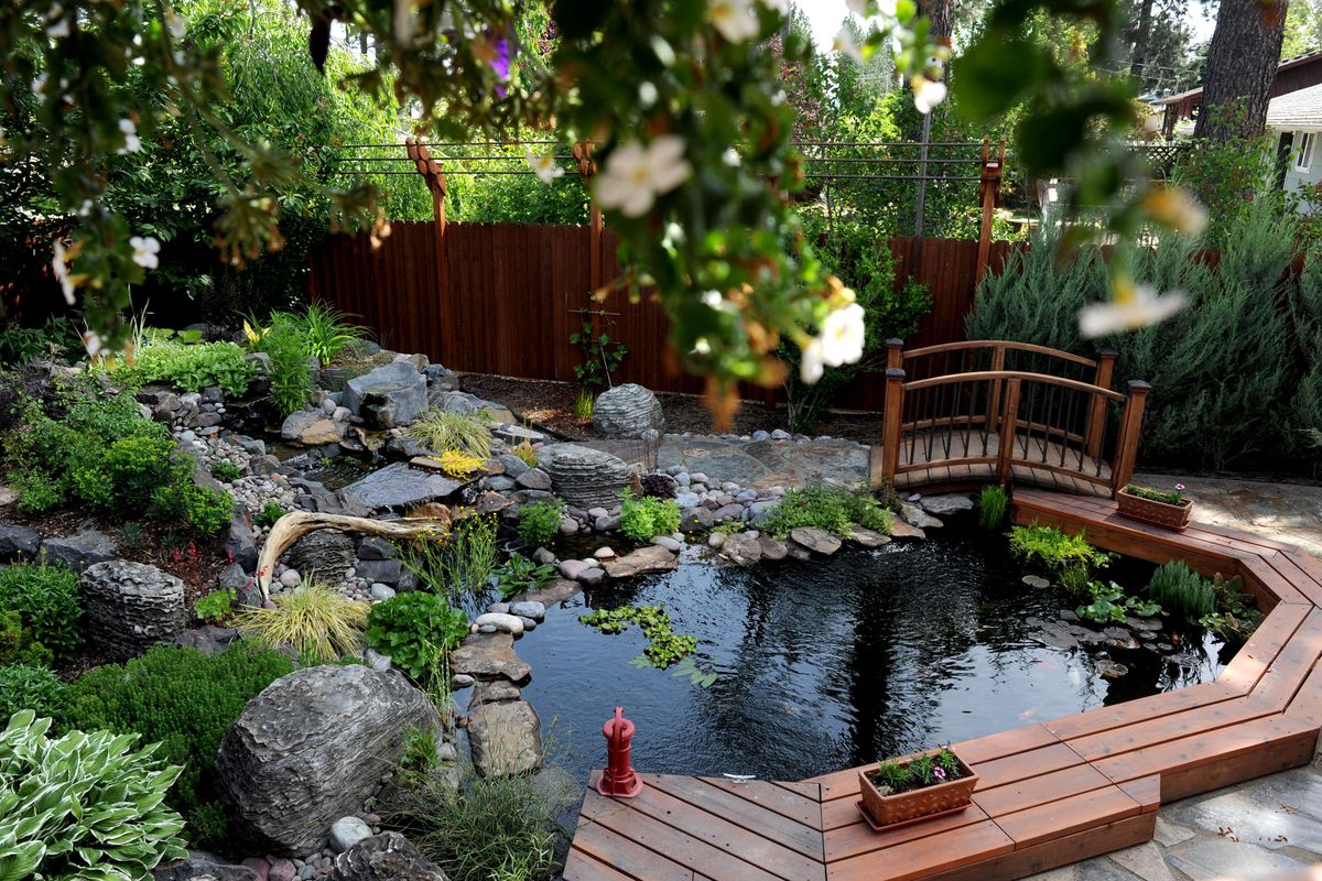 A koi pond is the centerpiece of the water garden on the property of Scott and Kathy Rollins of Post Falls. (Kathy Plonka)