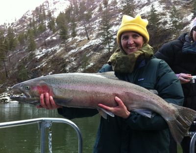 Lifting wild steelhead: legal in Idaho, not in Washington.