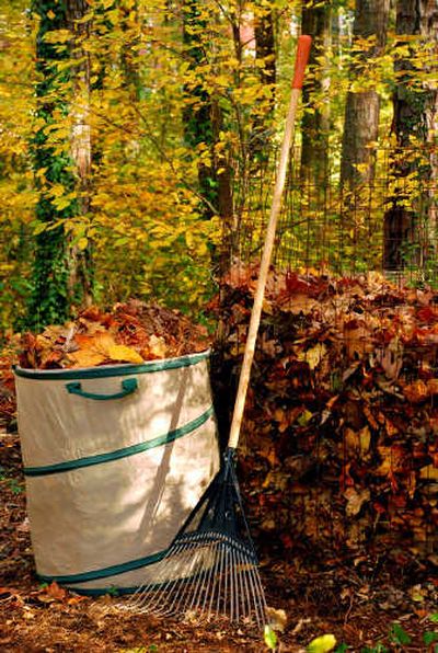 
Leaves contain 50-80 percent of the nutrients the trees drew from the earth before the leaves fell to the ground. You can use them to replenish the soil and nourish all that grows within it.
 (SHNS photo courtesy Courtenay Vanderbilt / The Spokesman-Review)