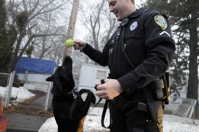 Officer Mike Ziegler plays with narcotics dog, Austin, in Airway Heights on Monday.  (Jesse Tinsley / The Spokesman-Review)