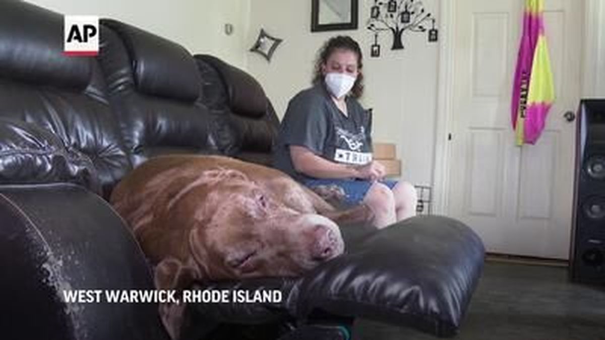 A federal eviction moratorium is ending, possibly forcing millions of people from their rentals, spiking homelessness and causing anguish for those who are about to lose their apartments, like Rhode Island resident Roxanne Schaefer. 