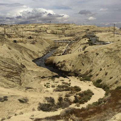 In this May 10, 2019, photo provided by the California Department of Fish and Wildlife’s Office of Spill Prevention and Response, oil flows at a Chevron oil field in Kern County, Calif. Nearly 800,000 gallons of oil and water has seeped from the ground since May. Chevron and California officials say the spill is not near any waterway and has not significantly affected wildlife. (Associated Press)