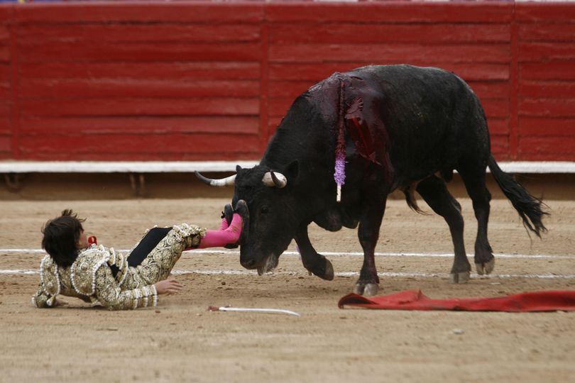 French-Mexican bullfighter Michel Lagravere, 12, known as Michelito, is pushed by a bull after falling during a bullfight in the Plaza de Toros Mexico bullring in Mexico City, Sunday, June 6, 2010. Lagravere, the youngest bullfighter to perform in the Plaza de Toros Mexico, suffered bruising and was not seriously injured. (Miguel Tovar / Associated Press)