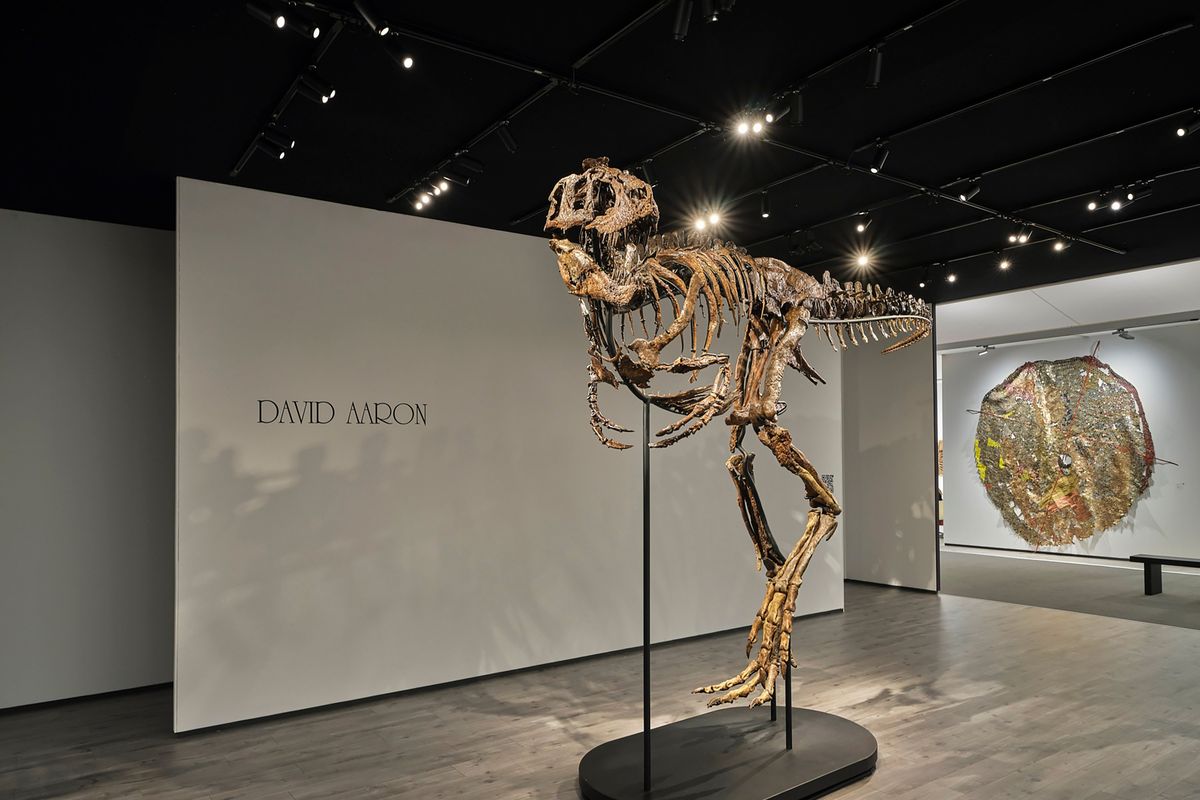 An image from David Aaron shows Chomper, a juvenile Tyrannosaurus rex skeleton at the David Aaron Gallery. The David Aaron Gallery has listed a dinosaur specimen for $20 million that it is calling a “rare juvenile Tyrannosaurus rex skeleton.” Not everyone agrees.  (Courtesy of DAVID AARON)