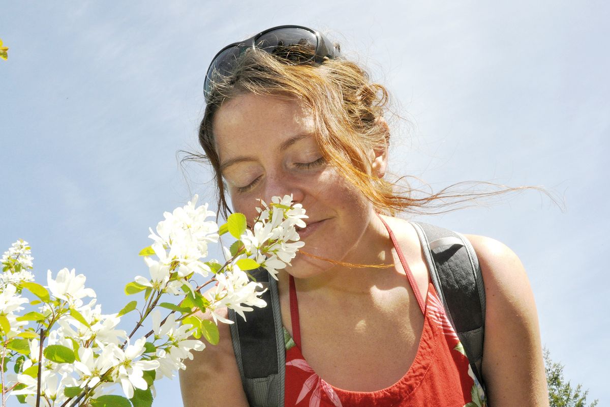 Heather “Anish” Anderson smells the flowers on a 2014 North Idaho hike, a pleasure she forfeited during her speed-record trek on the Pacific Crest Trail. (Rich Landers)