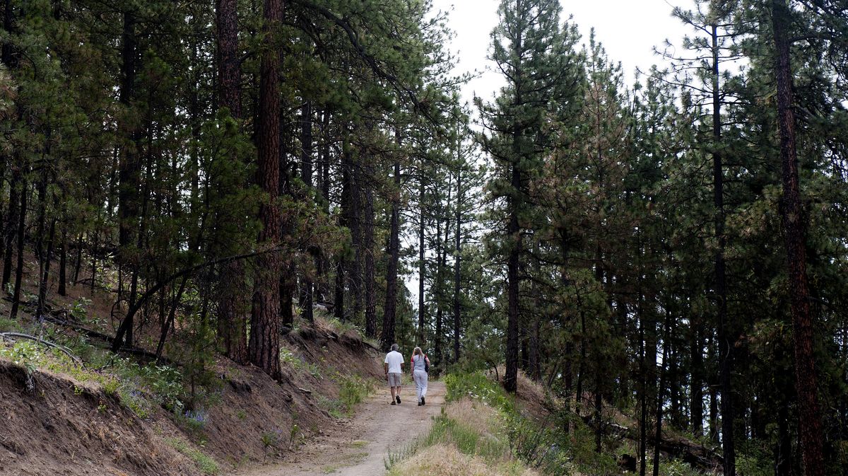 City seeking suggestions for High Drive Bluff trail names | SWX Right ...