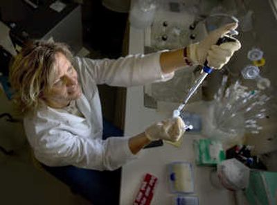 
Dr. Karen Rudolph tests lab samples recently in Caldwell, Idaho. Rudolph is the state's only wildlife DNA expert. She handles evidence for many of Idaho's poaching cases. Associated Press
 (Associated Press / The Spokesman-Review)