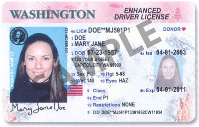 This is an image of the new Washington State Enhanced Driver License. Courtesy of Washington State Dept. of Licensing (Courtesy of Washington State Dept. of Licensing / The Spokesman-Review)