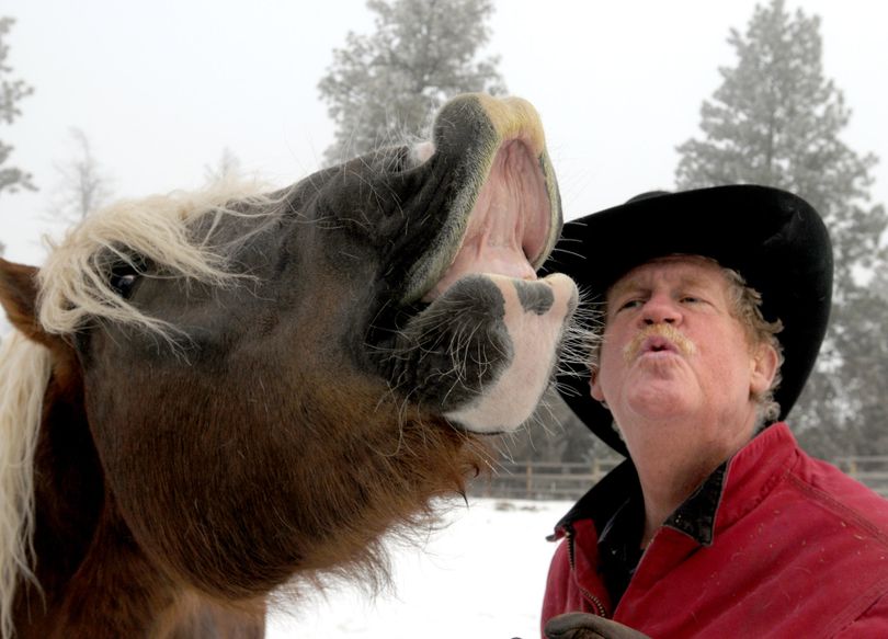 ORG XMIT: MTMIS101 Bob Ricketts, a former opera singer, croons with one of his Oberlander horses Feb. 6, 2009, on his ranch near Big Arm, Mont. Ricketts was the first person in the United States to breed the horses. (AP Photo/Missoulian,Kurt Wilson) (Kurt Wilson / The Spokesman-Review)