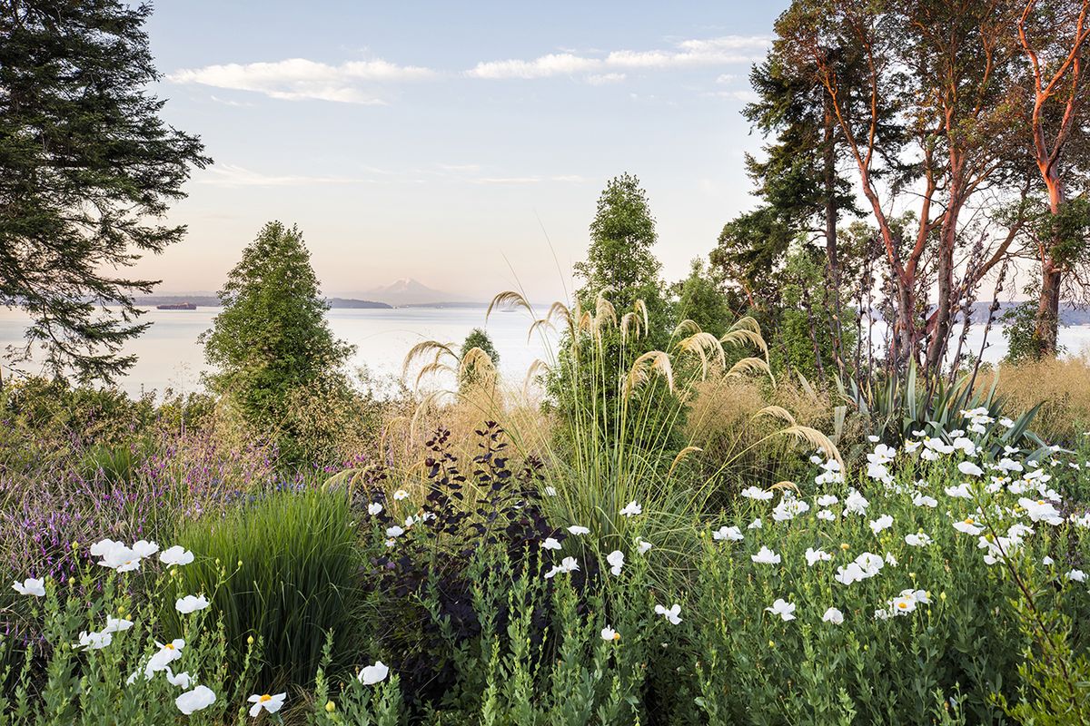 Plant hunter Dan Hinkley has spent 20 years turning Windcliff, a 6.5-acre property overlooking Puget Sound, into a garden of delights. (Claire Takacs/Timber Press)