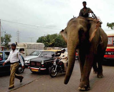 
A constable leads an elephant out from a street in Mumbai, India, last week. The state has banned elephants from the city.Associated Press
 (Associated Press / The Spokesman-Review)