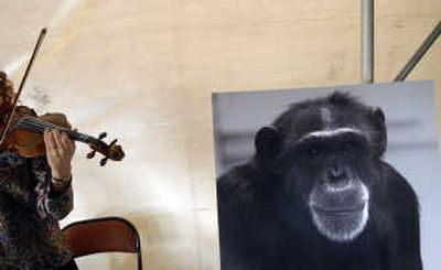 
Classical music accompanies eulogies Monday for Washoe the chimp, who died recently at Central Washington University. 
 (Photos by Brian Plonka / The Spokesman-Review)