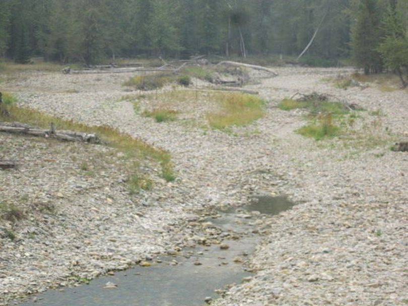 St. Regis River near Haugan in late August 2015. (Denley Loge / Courtesy)